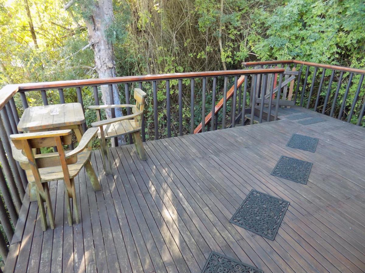 Protea Guest House Найсне Экстерьер фото